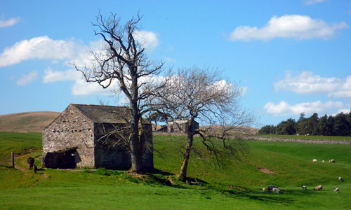 Yorkshire Dales