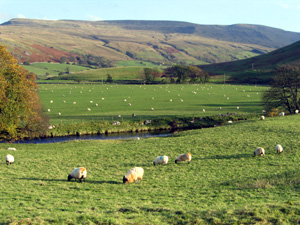 Eden valley