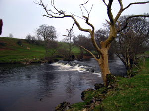 River Eden