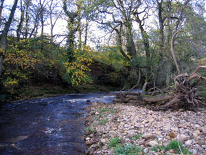 River Belah