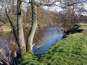 River Eden