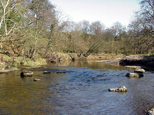 River Eden