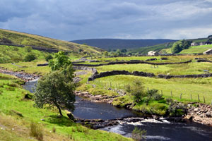 Swaledale