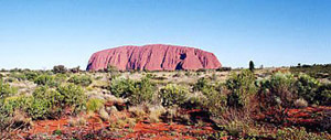 Brasshopper in Australia 2001