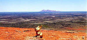 Brasshopper in Australia 2001