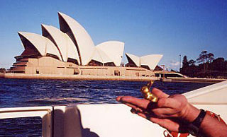 Brasshopper in Australia 2001