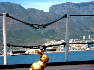 Brasshopper in Cape Town 2008
