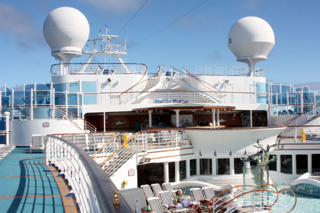 Brasshopper on Hawaiin cruise