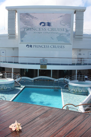 Brasshopper on Hawaiin cruise