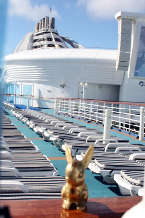 Brasshopper on Hawaiin cruise