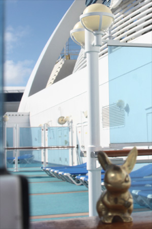 Brasshopper on Hawaiin cruise