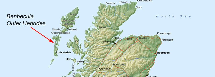 Brasshopper in Benbecula