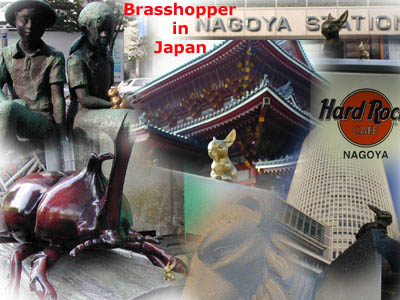 Brasshopper in Japan 2002