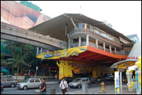 Brasshopper in Malaysia in 2007