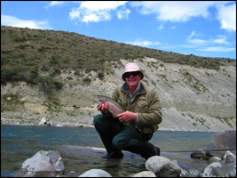 Brasshopper in New Zealand 2005