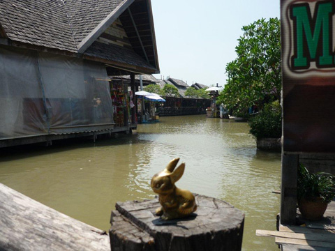 Brasshopper in Thailand 2012