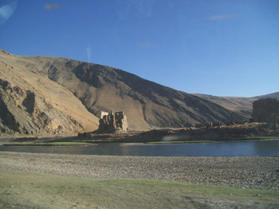 Brasshopper in Tibet 2009