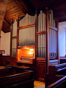 Organ
