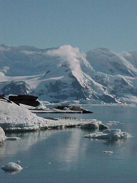 Antarctic