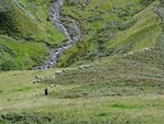 Ravenstonedale Gathering
