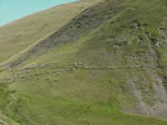 Ravenstonedale Gathering