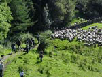 Ravenstonedale Gathering