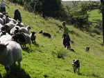 Ravenstonedale Gathering