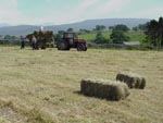 Haymaking in Ravenstonedale