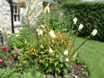Ravenstonedale garden trail