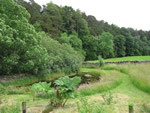 Ravenstonedale garden trail