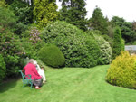 Ravenstonedale garden trail