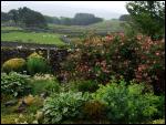 Ravenstonedale and Newbiggin-on-Lune Garden Trail 2008