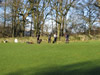 Ravenstonedale Challenge Cup Golf Tournament