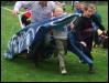 May Day