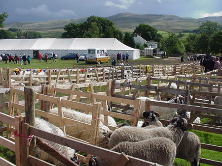 Ravenstonedale Show 2000