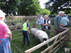ravenstonedale show 2005