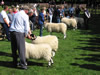 ravenstonedale show 2005