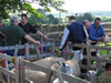 ravenstonedale show 2005