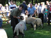 ravenstonedale show 2005