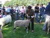 ravenstonedale show 2005