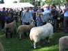 ravenstonedale show 2005
