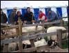 Ravenstonedale Agricultural Show 2006