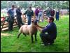 Ravenstonedale Agricultural Show 2006