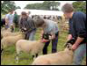 Ravenstonedale show 2008
