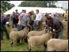 Ravenstonedale show 2008