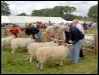 Ravenstonedale show 2008
