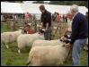 Ravenstonedale show 2008