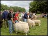 Ravenstonedale show 2008