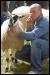 Ravenstonedale show 2008