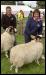 Ravenstonedale show 2008